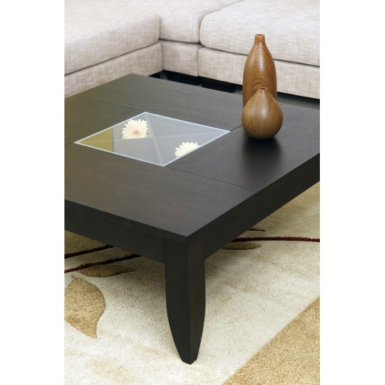 COFFEE TABLE WITH ALITTLE VITRINE