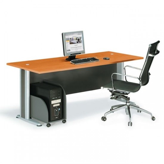 Professdional desk 120cm x 80cm